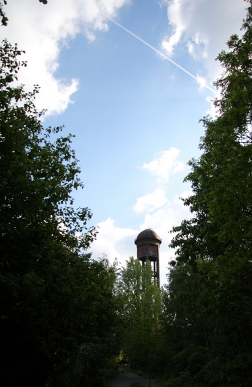 die Spitze eines Wasserturms ragt hinter ein paar Bäumen hervor