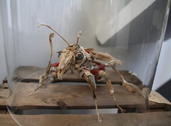 aus Knochen, Gummibändern und anderen Materialien zusammengesetzte Insektenskulptur
