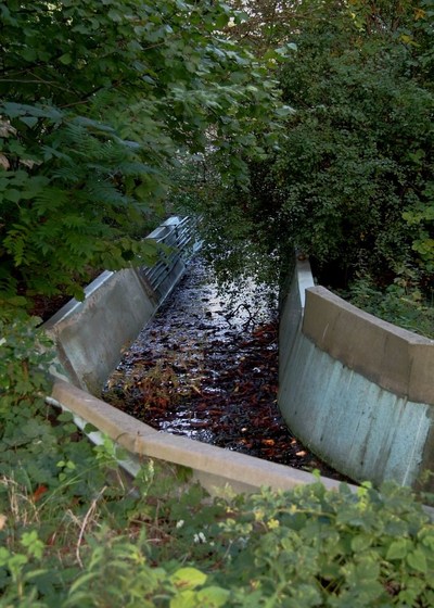 zugewachsene stillgelegte Wasserbahn