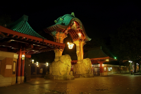 hell erleuchtetes Eingangstor zum Zoologischen Garten