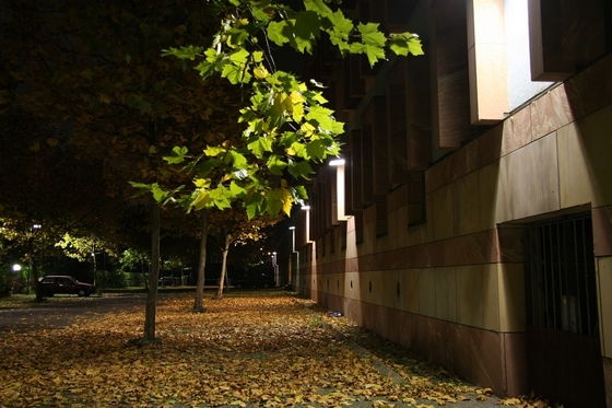 Straßeneinfahrt mit viel buntem Laub auf dem Boden