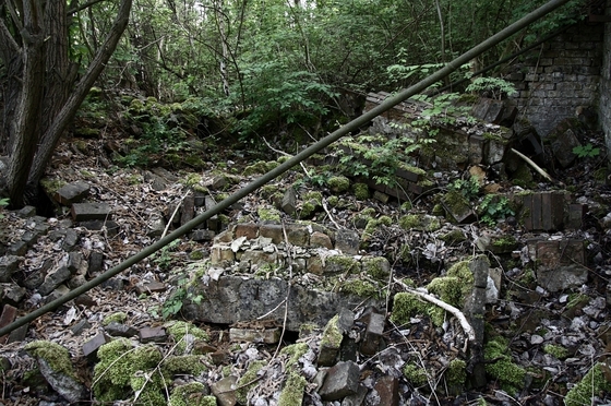 zerfallenes Mauerwerk, das von Pflanzen überwuchert wird