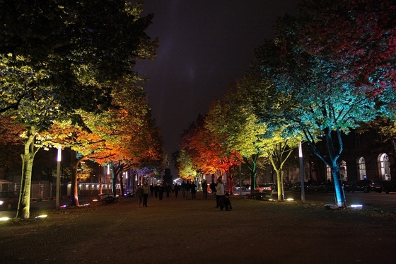 in herbstlichen Farben angestrahlte "Unter den Linden"