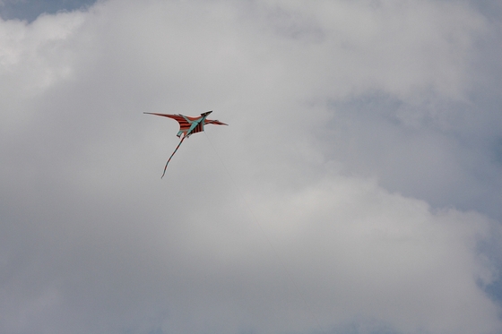 Flugdrachen vor bewöltem Himmel