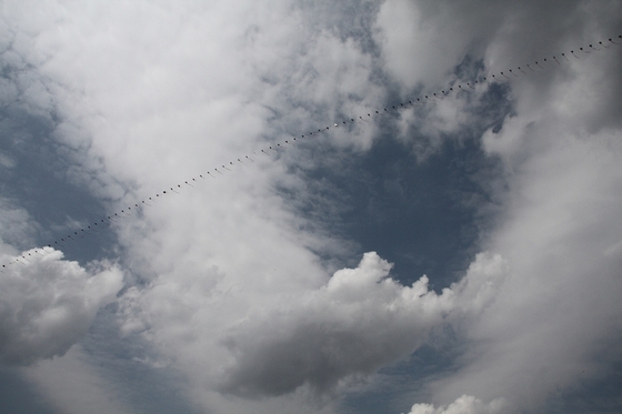 Drachenkette am Himmel