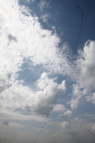 Drachenkette am Himmel