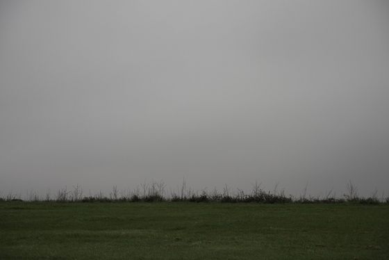 Grasfläche, wolkenverhangener Himmel