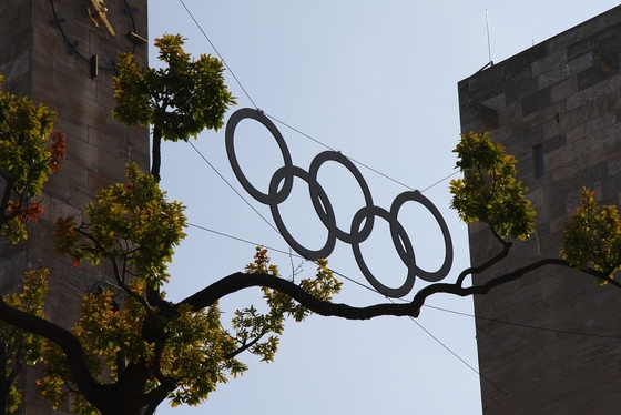 die fünf olympischen Ringe umrahmt vom Ast eines Baumes