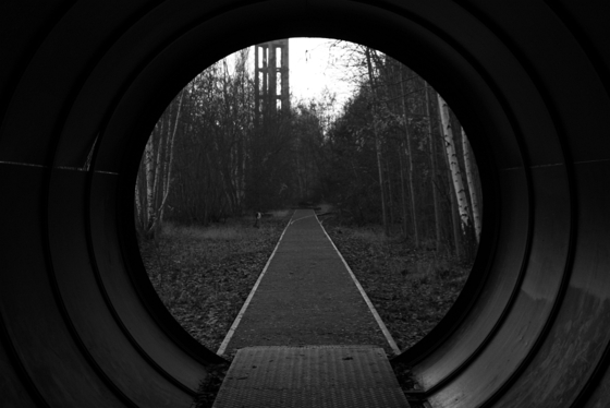 Blick aus einer Tunnelröhre