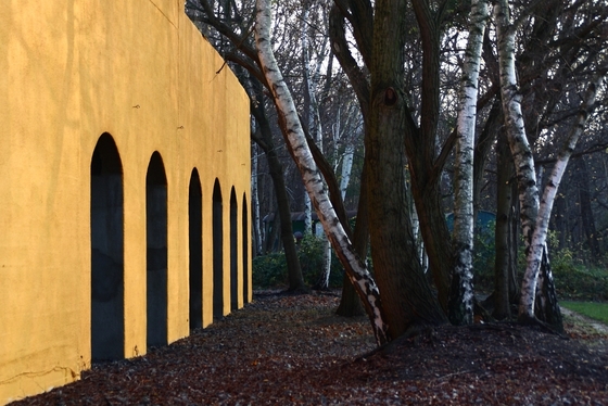 gelbe Mauer mit einigen Durchgängen, Bäume