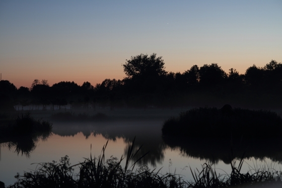 Bodennebel über einem Gewässer in Morgendämmerung