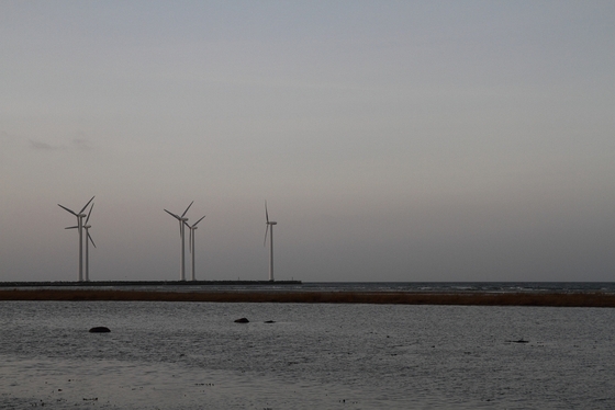 Windräder am Meer