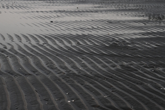 Pfützen in geriffeltem Sand