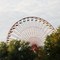 Riesenrad hinter Baumkronen