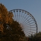 Riesenrad, teilweise von einem herbstlich gefärbten Laubbaum verdeckt