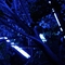 durch blaue Neonleuchten angestrahlte Baumkrone