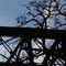 Silhouette einer Fachwerkbrücke und eines knorrigen Baums vor blauem Himmel