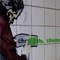 Wandmalerei, Mann schabloniert Text "Choose life, choose a job, choose a career, choose a family ..."