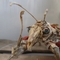 aus Knochen, Gummibändern und anderen Materialien zusammengesetzte Insektenskulptur